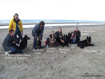 Statiefoto in het zand met nog 6 nestgenoten, tante Djingha en oma Angel